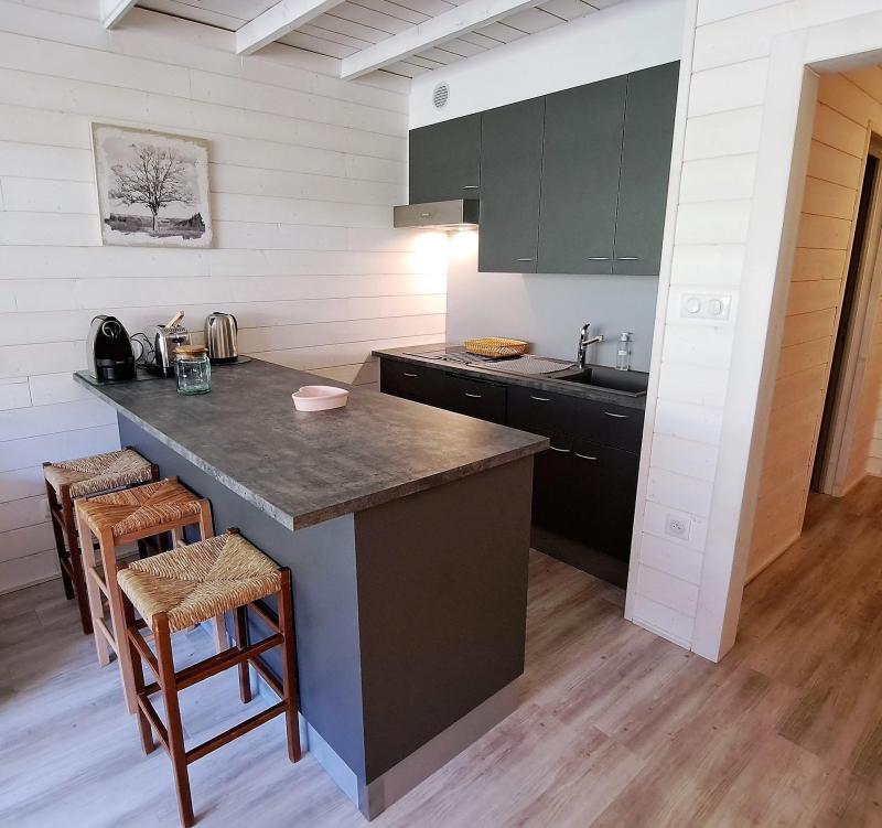 Vacanze in montagna Appartamento su due piani 3 stanze per 6 persone (16) - LES CARLINES - Pra Loup - Cucina