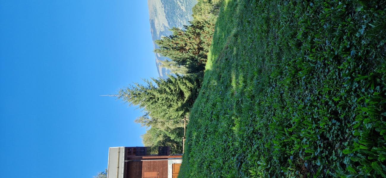 Vacances en montagne Les Chalets du Planay - La Bresse - Extérieur été