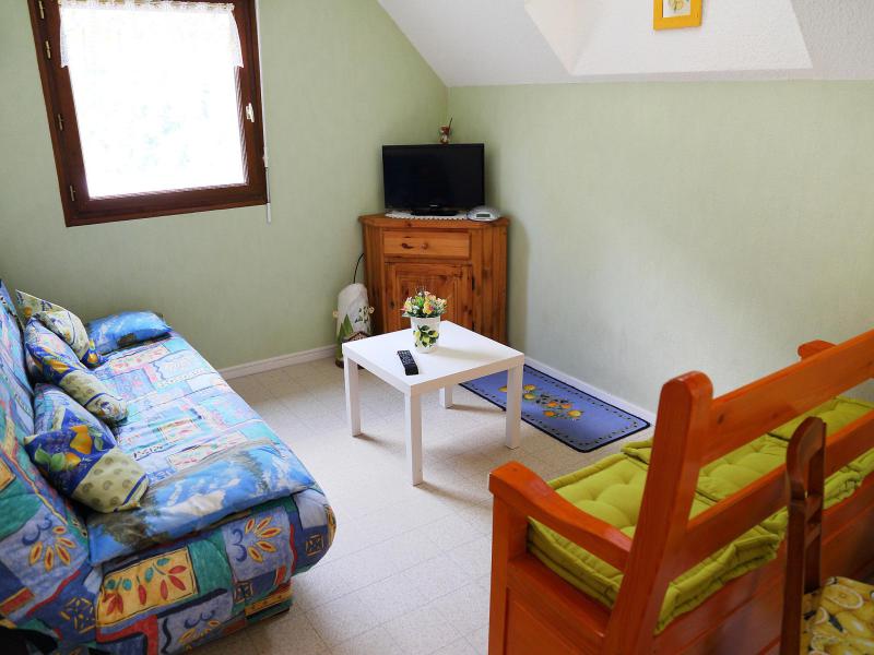 Urlaub in den Bergen 2-Zimmer-Appartment für 4 Personen (1) - Les Marmottes - Barèges/La Mongie - Wohnzimmer