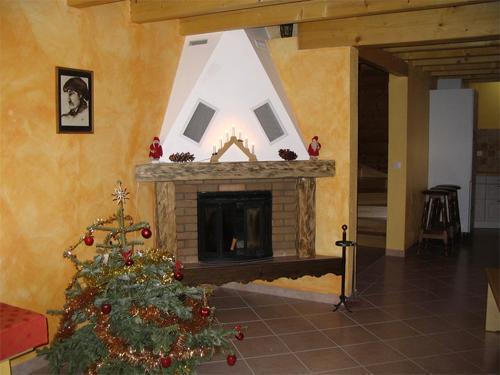 Holiday in mountain resort 6 room cottage 12 people - Maison Montagnarde Les Copains - Les 2 Alpes - Fireplace