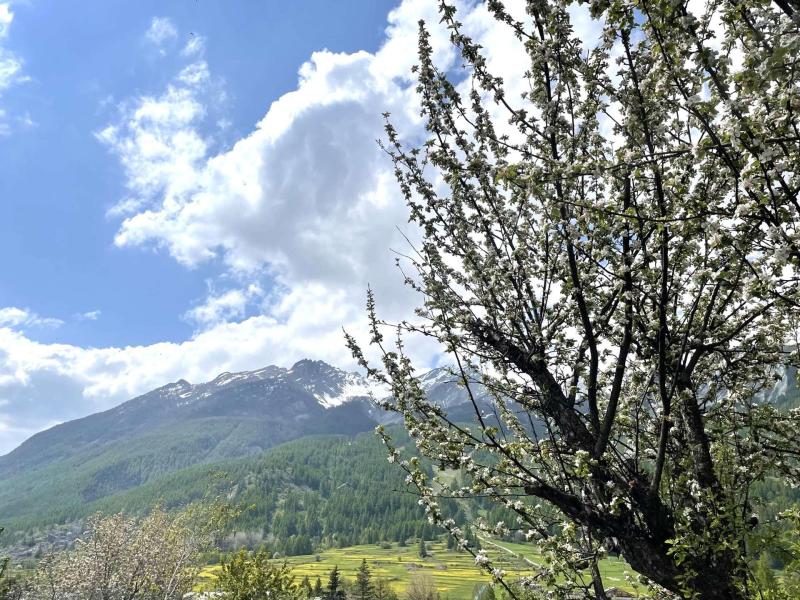 Vacances en montagne Appartement 3 pièces 4 personnes (LMO010-0000) - Pre Creux - Serre Chevalier - Extérieur été