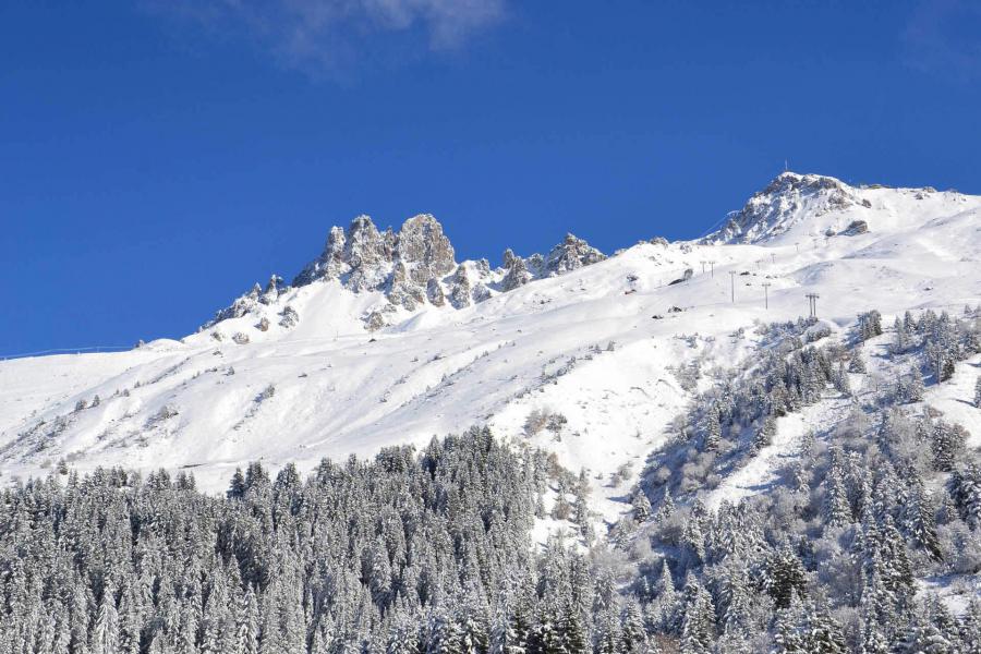 Vacances en montagne Résidence Arc en Ciel - Méribel-Mottaret