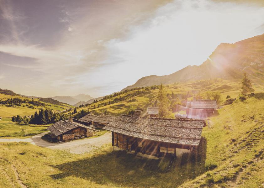 Vacances en montagne Studio 4 personnes (004) - Résidence Bel Alp - Le Grand Bornand - Extérieur été