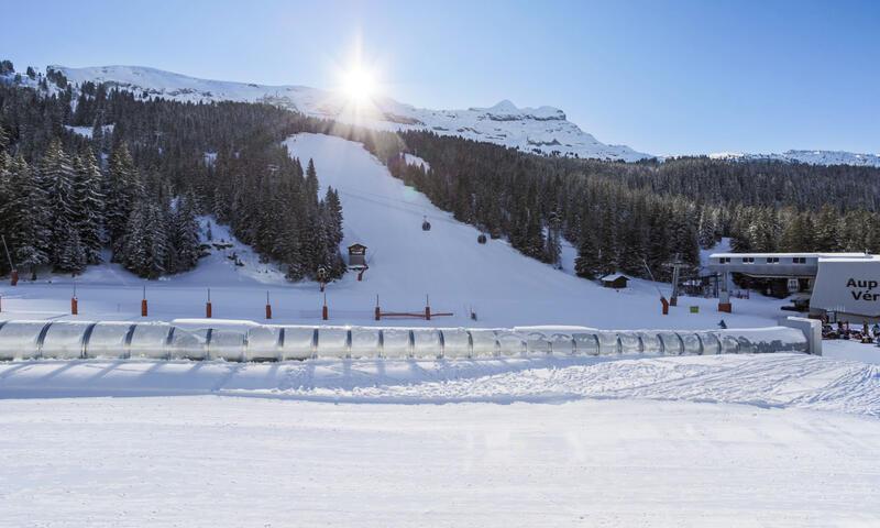 Location au ski Studio 4 personnes (Budget 17m²-2) - Résidence Bellatrix - MH - Flaine - Extérieur été