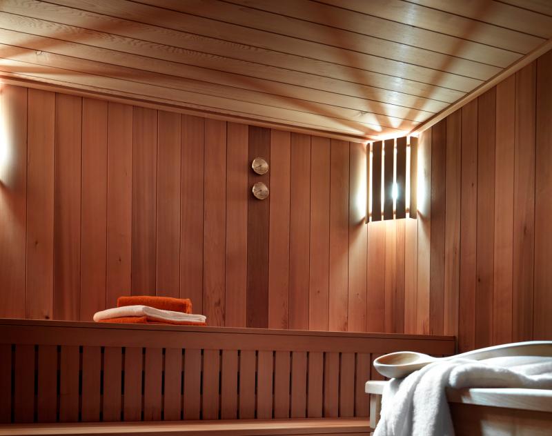 Vacanze in montagna Résidence Boutique Les Chalets de Layssia - Samoëns - Sauna