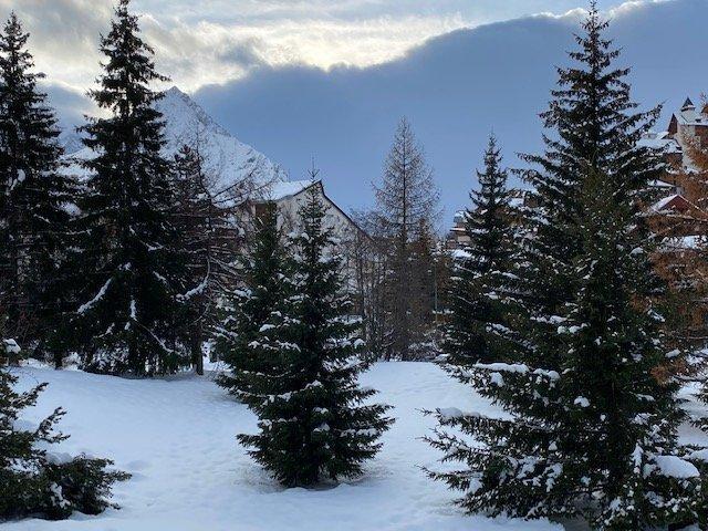 Vakantie in de bergen Studio bergnis 5 personen (824) - Résidence Côte Brune 3 - Les 2 Alpes