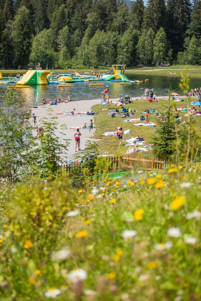 Ski verhuur Appartement 2 kamers 4 personen - Résidence Forge - Les Gets - Buiten zomer