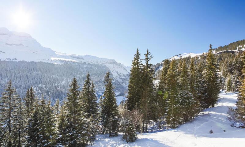 Alquiler al esquí Estudio para 4 personas (Confort 28m²-4) - Résidence Iris - Maeva Home - Flaine - Verano