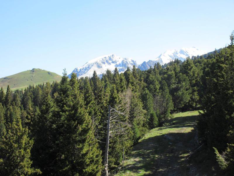 Vacanze in montagna Monolocale con alcova per 4 persone (420) - Résidence l'Edelweiss - Chamrousse