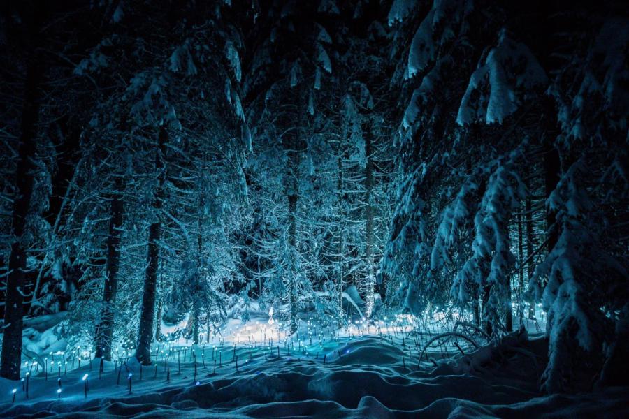 Vacances en montagne Résidence la Sapinière - Les Gets