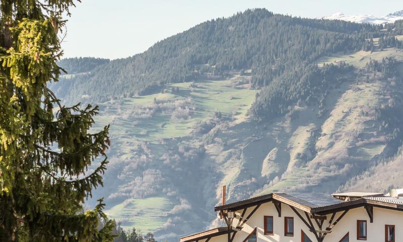 Urlaub in den Bergen Résidence le Christiana - MH - La Tania - Draußen im Sommer