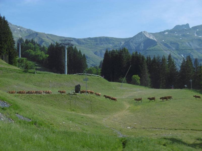 Vacanze in montagna Appartamento 2 stanze per 4 persone (013) - Résidence le Pierrafort - Valmorel