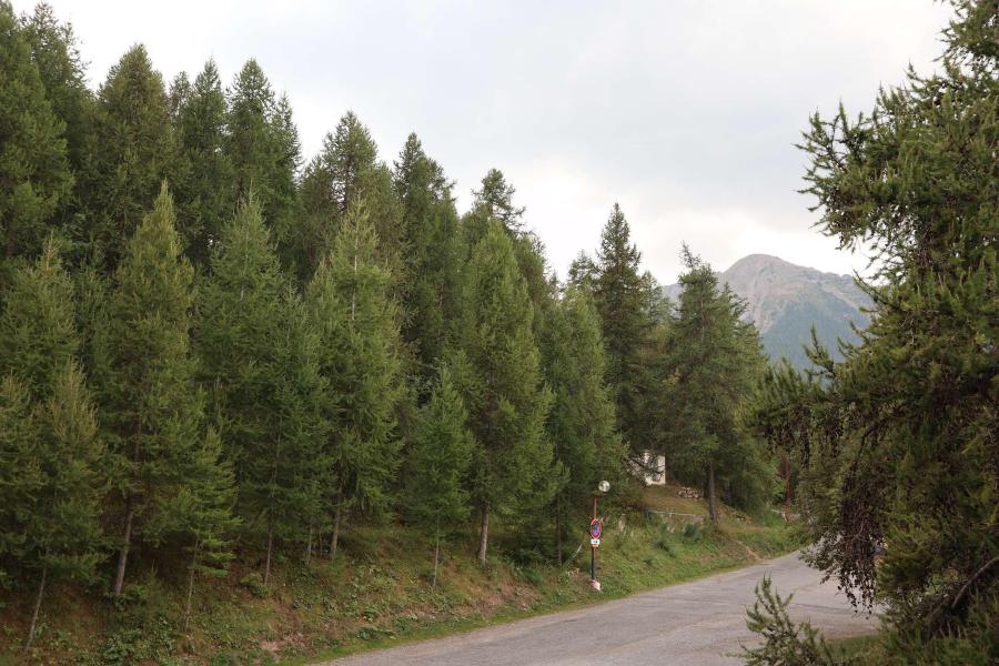 Alquiler al esquí Estudio para 6 personas (302) - Résidence le Pouzenc - Les Orres - Verano