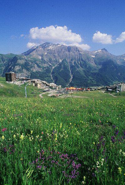 Location au ski Résidence le Rond Point des Pistes I - Orcières Merlette 1850 - Extérieur été