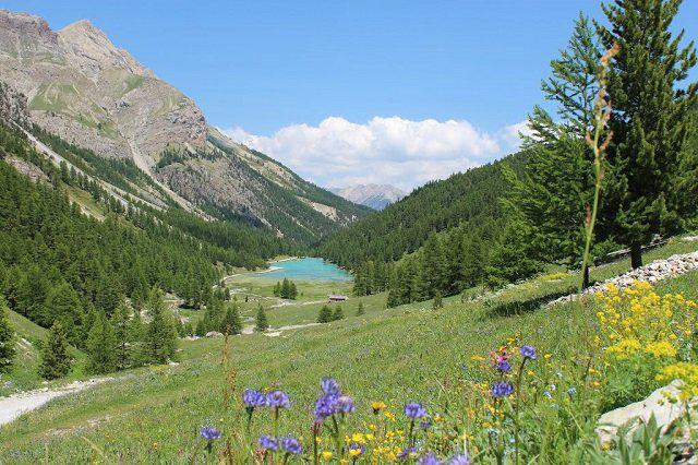 Аренда на лыжном курорте Résidence le Rond Point des Pistes I - Orcières Merlette 1850 - летом под открытым небом