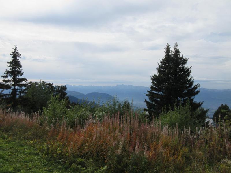 Vacanze in montagna Studio per 3 persone (002) - Résidence les Carlines - Chamrousse - Esteriore estate