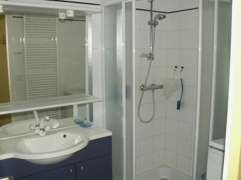 Vacances en montagne Appartement 3 pièces 6 personnes (001) - Résidence les Dodes - Le Grand Bornand - Salle de douche