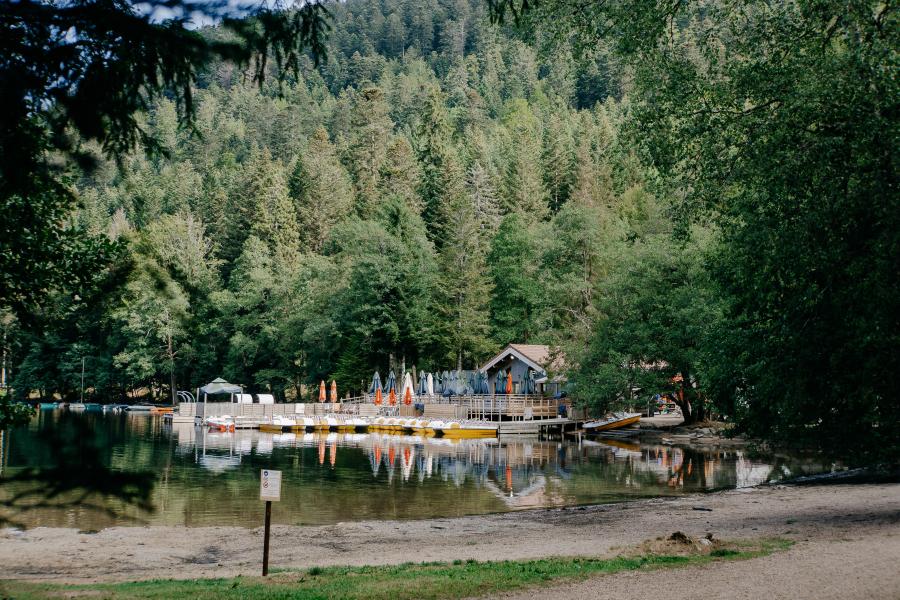 Urlaub in den Bergen Résidence les Myrtilles - Gérardmer