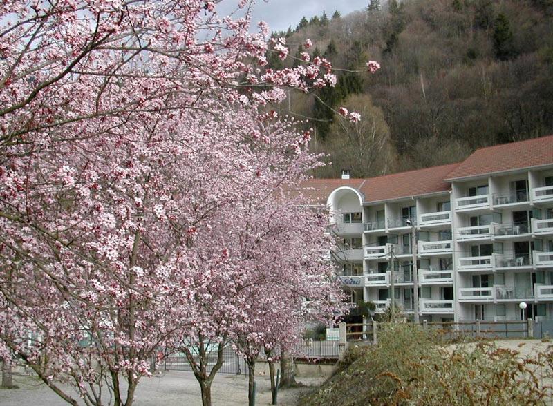 Urlaub in den Bergen Résidence Les Silènes - Le Collet d'Allevard - Draußen im Sommer