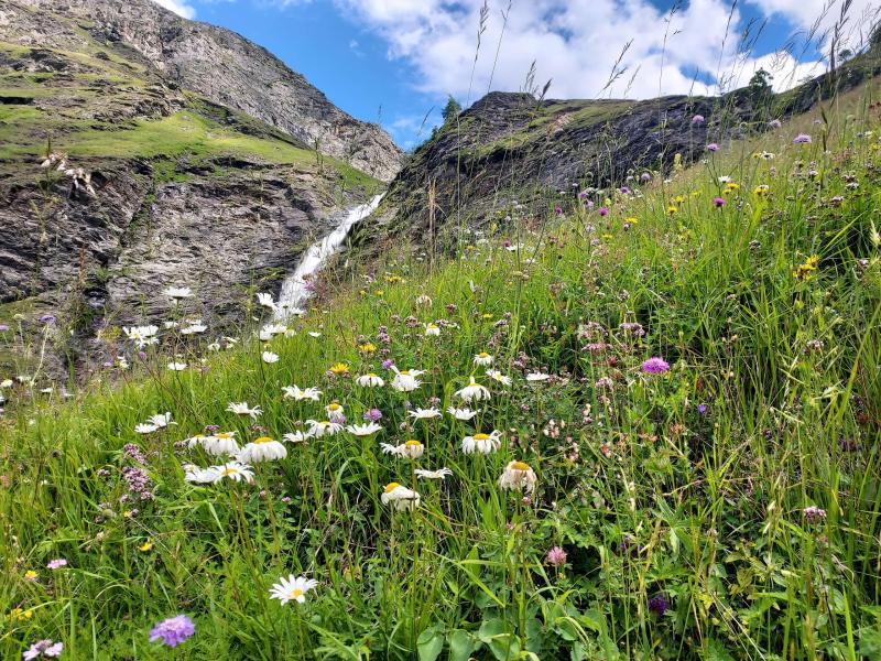 Ski verhuur Résidence les Terrasses de la Vanoise - Champagny-en-Vanoise - Buiten zomer