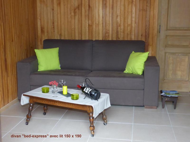 Vacances en montagne Studio cabine 4 personnes (001) - Résidence Lou R'Bat Pays - Le Grand Bornand - Canapé