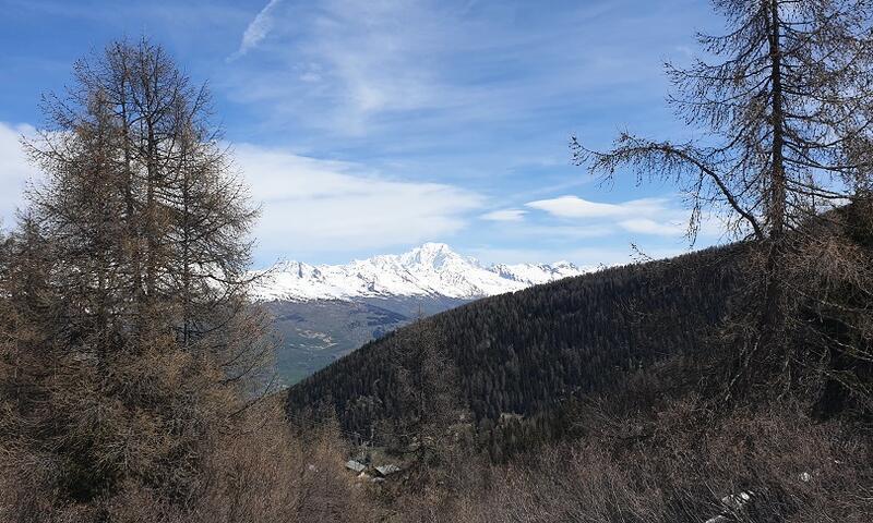 Rent in ski resort Résidence Plagne Lauze - MH - La Plagne - Summer outside