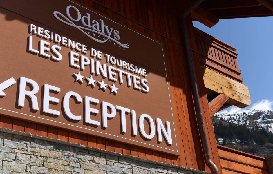 Rent in ski resort Résidence Prestige la Cascade - les Epinettes - Vaujany - Summer outside
