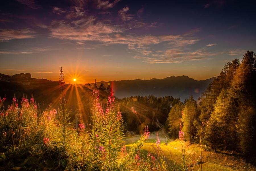 Vacances en montagne Résidence Sun Valley - La Plagne - Extérieur été