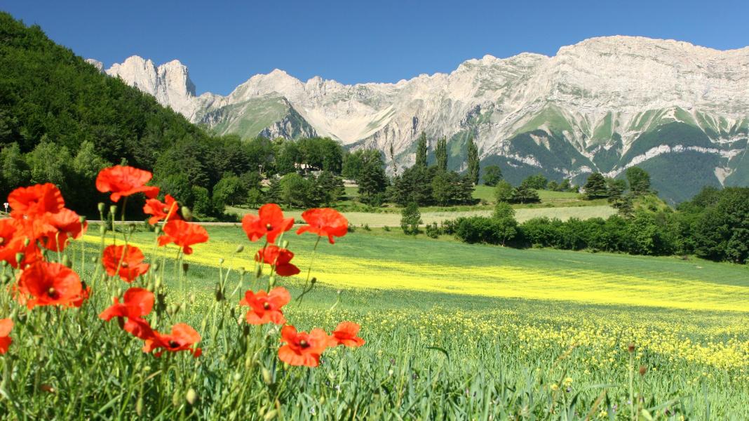 Vakantie in de bergen VVF Les Ecrins Champsaur - Saint-Léger-les-Mélèzes - Buiten zomer