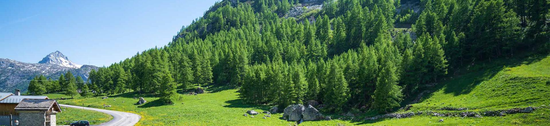 Vacaciones en montaña Chalet Alpinium 1 - Tignes - Verano