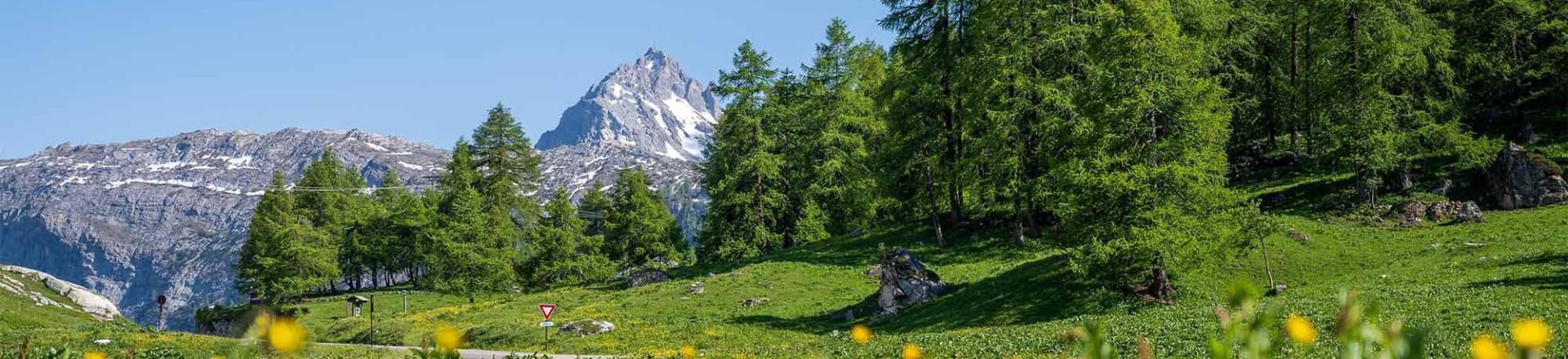 Vacances en montagne Chalet Alpinium 1 - Tignes - Extérieur été