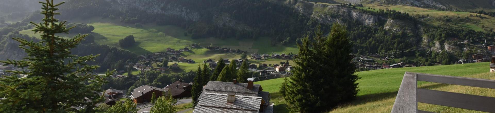 Каникулы в горах Шале триплекс 6 комнат 11 чел. - Chalet d'Anne - Le Grand Bornand - Балкон