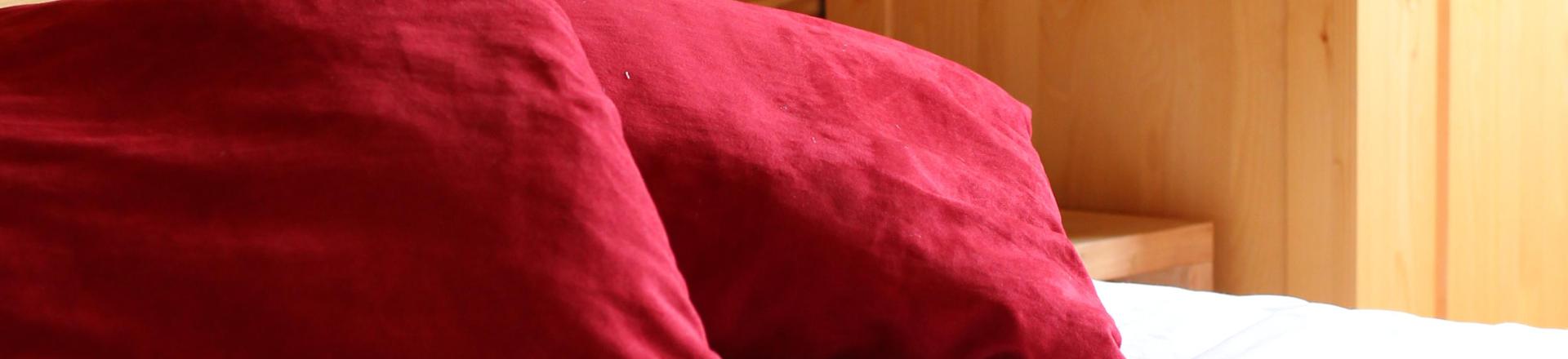 Vacances en montagne La Résidence le Centaure - La Plagne - Chambre
