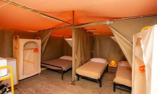 Urlaub in den Bergen 3-Zimmer-Mobilheim für 4 Personen (16m²) - Alpha Camping Holding - Camping les Prés du Verdon  - Quinson - Draußen im Sommer