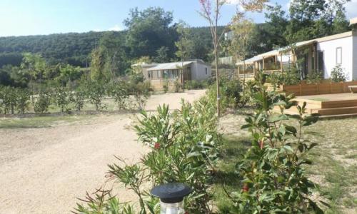 Holiday in mountain resort 3 room Mobil-Home 4 people (26m²) - Camping Flower l’Epi Bleu - Banon - Summer outside