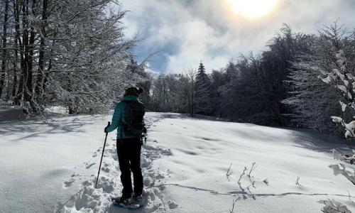 Rental Alpe d'Huez : Camping Le Belledonne winter
