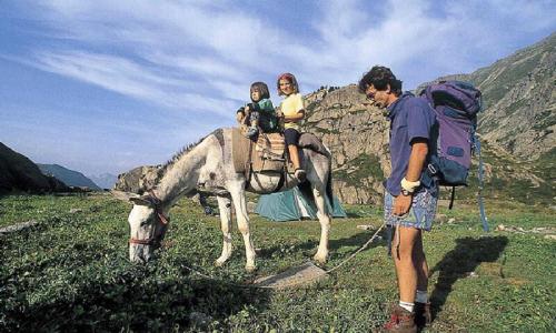 Vacances en montagne Camping Le Pas de l'Ours - Aston - Extérieur été