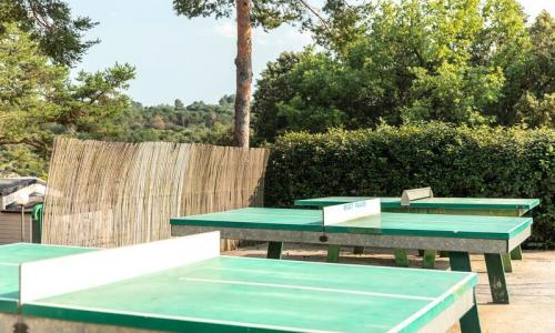 Holiday in mountain resort Camping Les Gorges de Provence - Montagnac-Montpezat - Summer outside