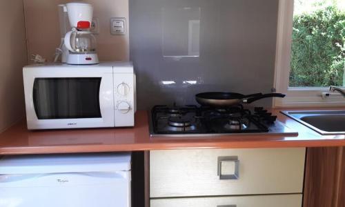 Holiday in mountain resort 2 room Mobil-Home 2 people (16m²) - Camping Les Jardins d'Estavar - Estavar - Summer outside