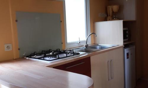 Holiday in mountain resort 3 room Mobil-Home 2 people (28m²) - Camping Les Jardins d'Estavar - Estavar - Summer outside