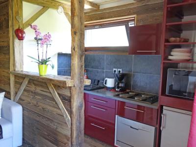 Vacanze in montagna Appartamento 1 stanze per 4 persone (2) - Castel des Roches - Saint Gervais - Cucinino