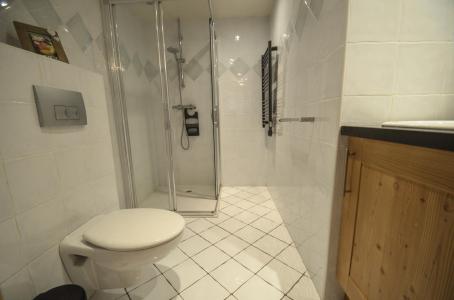 Holiday in mountain resort 4 room apartment 6 people (4) - Chalet Adèle - Saint Martin de Belleville - Shower room