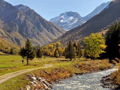 Urlaub in den Bergen Chalet Au Coeur de la Vanoise - Champagny-en-Vanoise - Draußen im Sommer