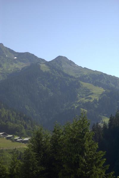 Wakacje w górach Chalet Bel Alp - Arêches-Beaufort - Balkon