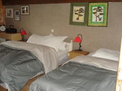 Holiday in mountain resort 2 room apartment 5 people - Chalet Bel Horizon - Châtel - Single bed