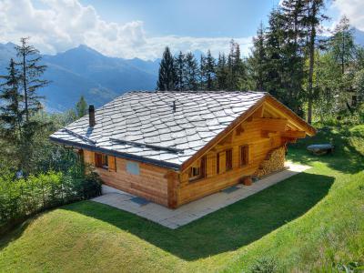 Location Chalet Collons 1850