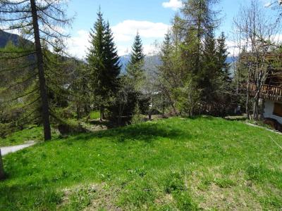 Wakacje w górach Domek górski 5 pokojowy 8 osób (MARVEL) - Chalet de Praz Marvel - Peisey-Vallandry - Na zewnątrz latem