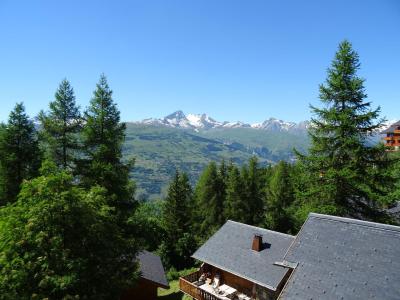 Vacaciones en montaña Chalet de Vallandry - Peisey-Vallandry - Verano