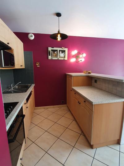 Vakantie in de bergen Appartement 4 kamers 5 personen - Chalet la Boule de Neige - Châtel - Keuken