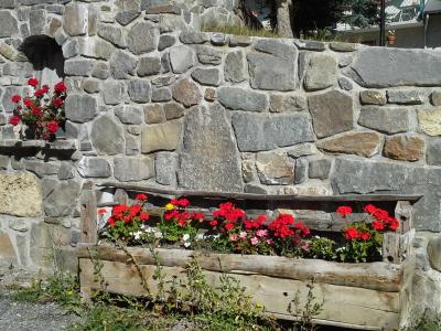 Vacances en montagne Studio cabine 4 personnes - Chalet les Ancolies - Valloire - Extérieur été